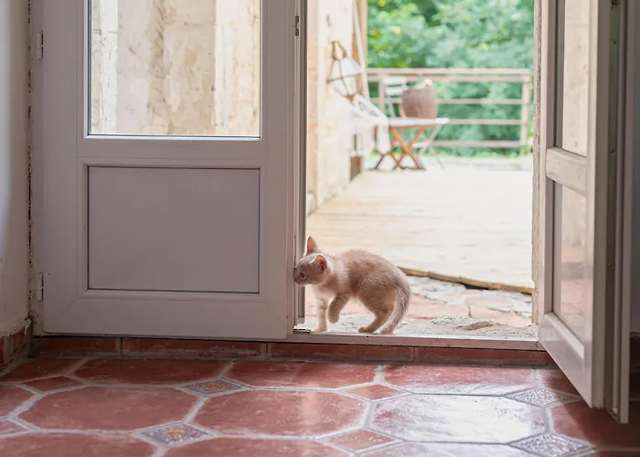 Bed & Breakfast O Vieux Moulin